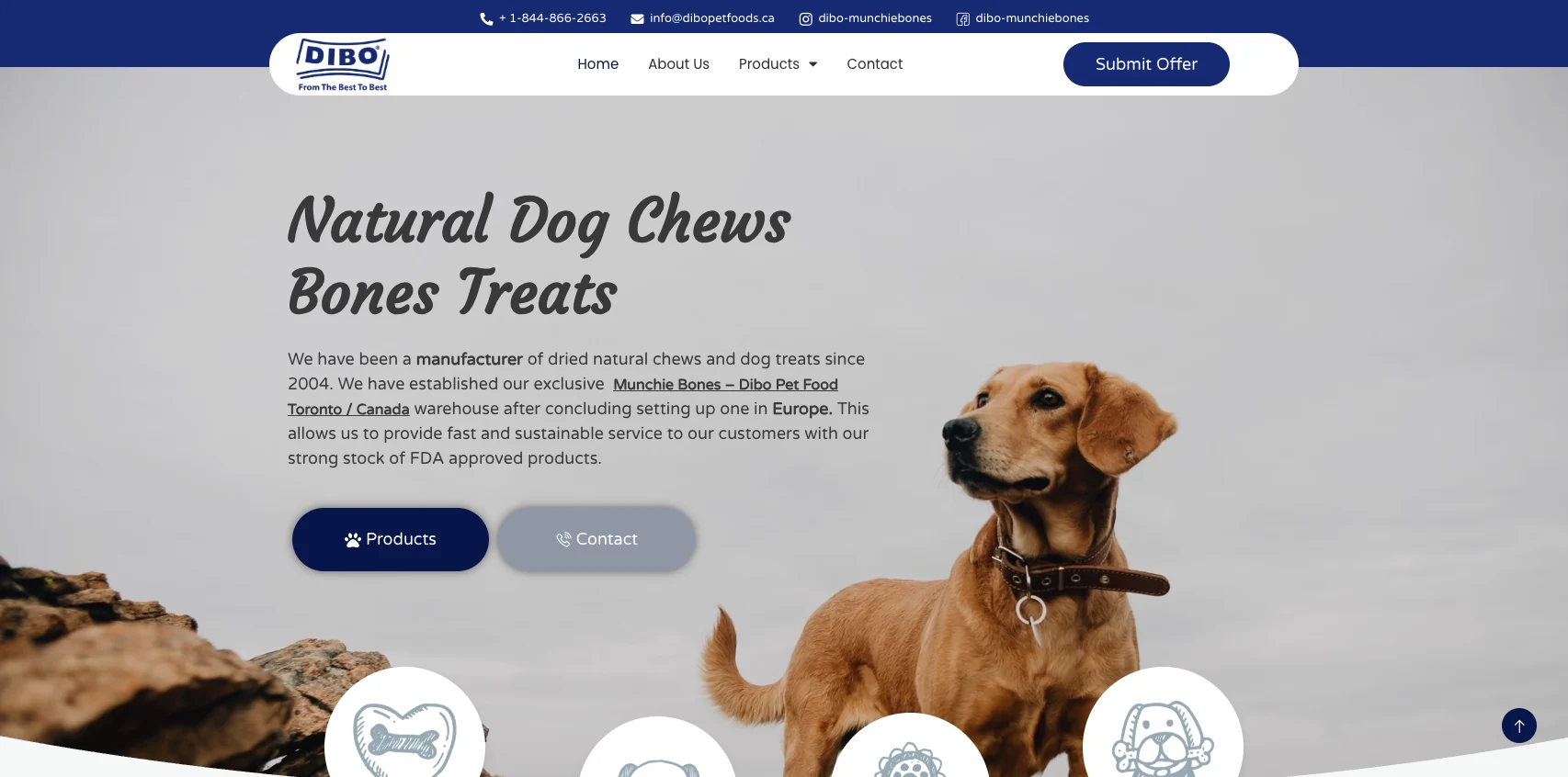 Dibo Pet Foods web sitesi — ekran görüntüsü