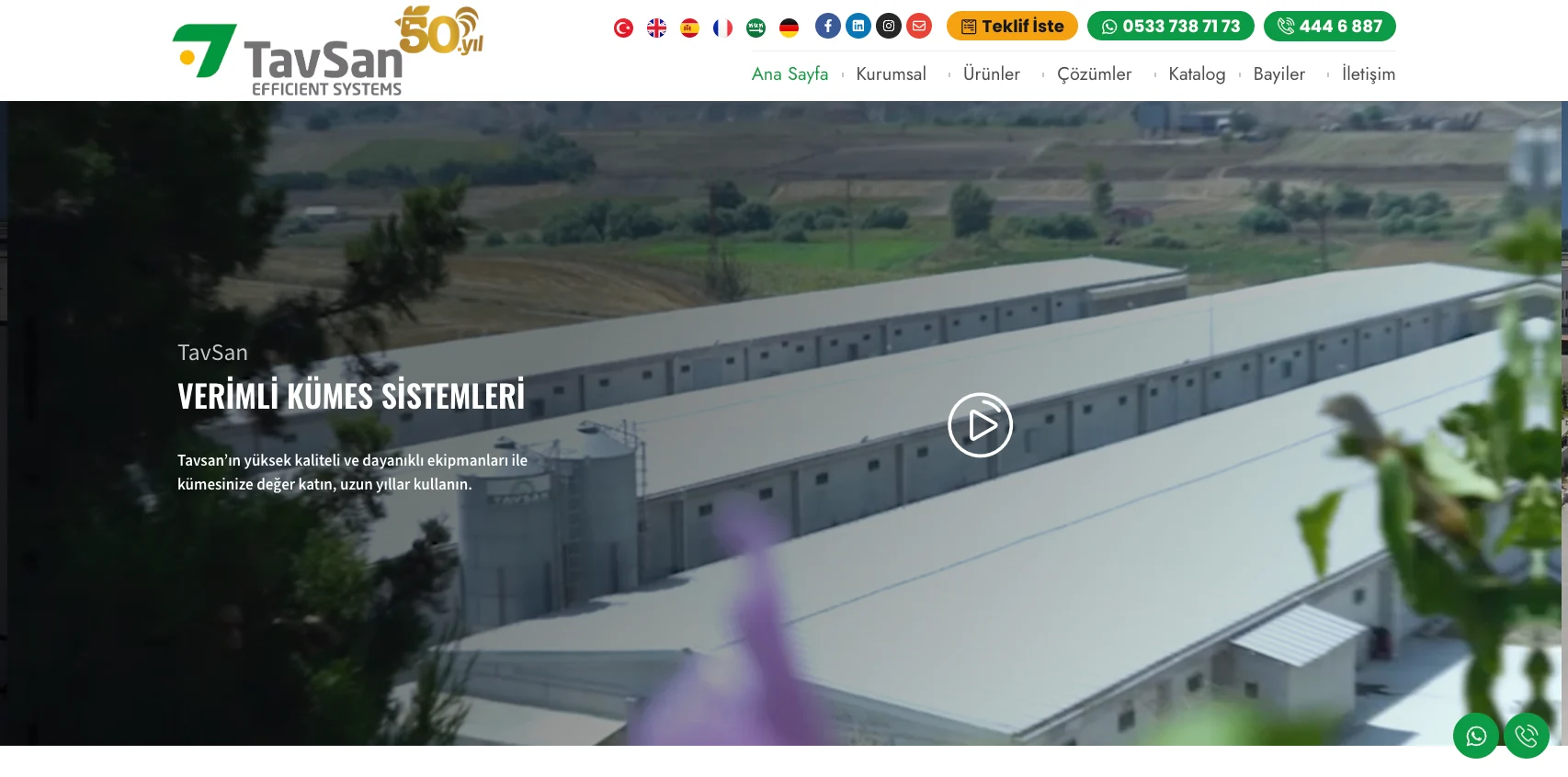 Tavsan web sitesi — ekran görüntüsü